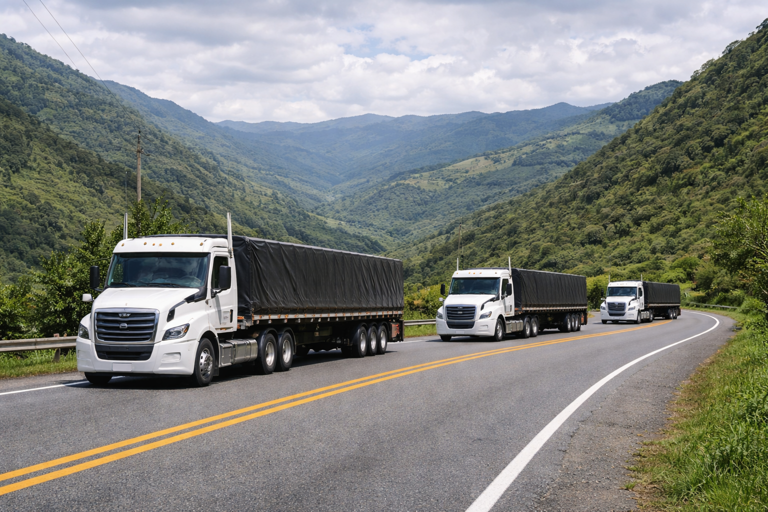 Flota LAND CARGO